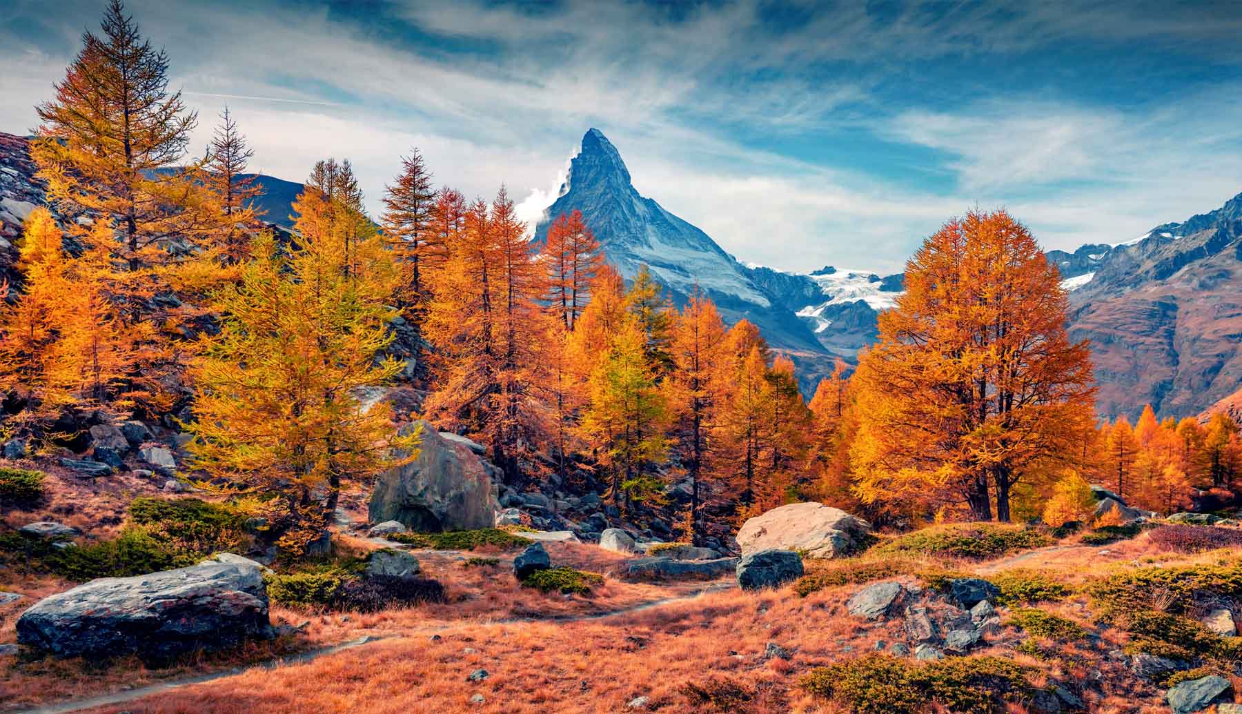 Something to smile about